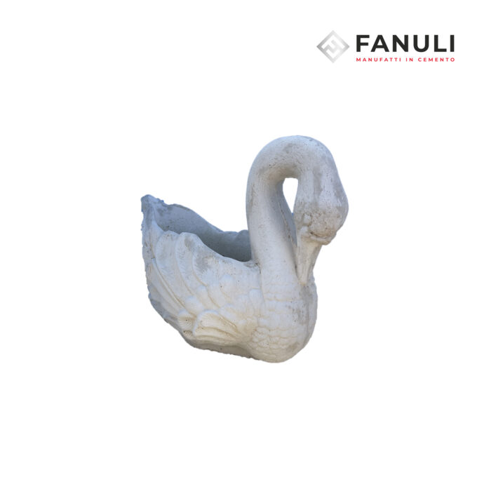 cigno piccolo2