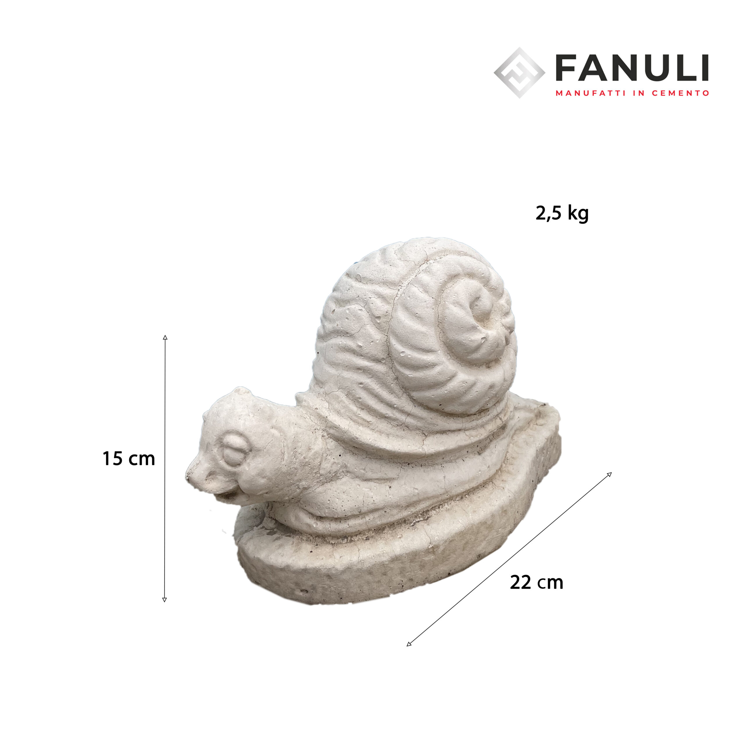 Lumaca piccola cozza .misure