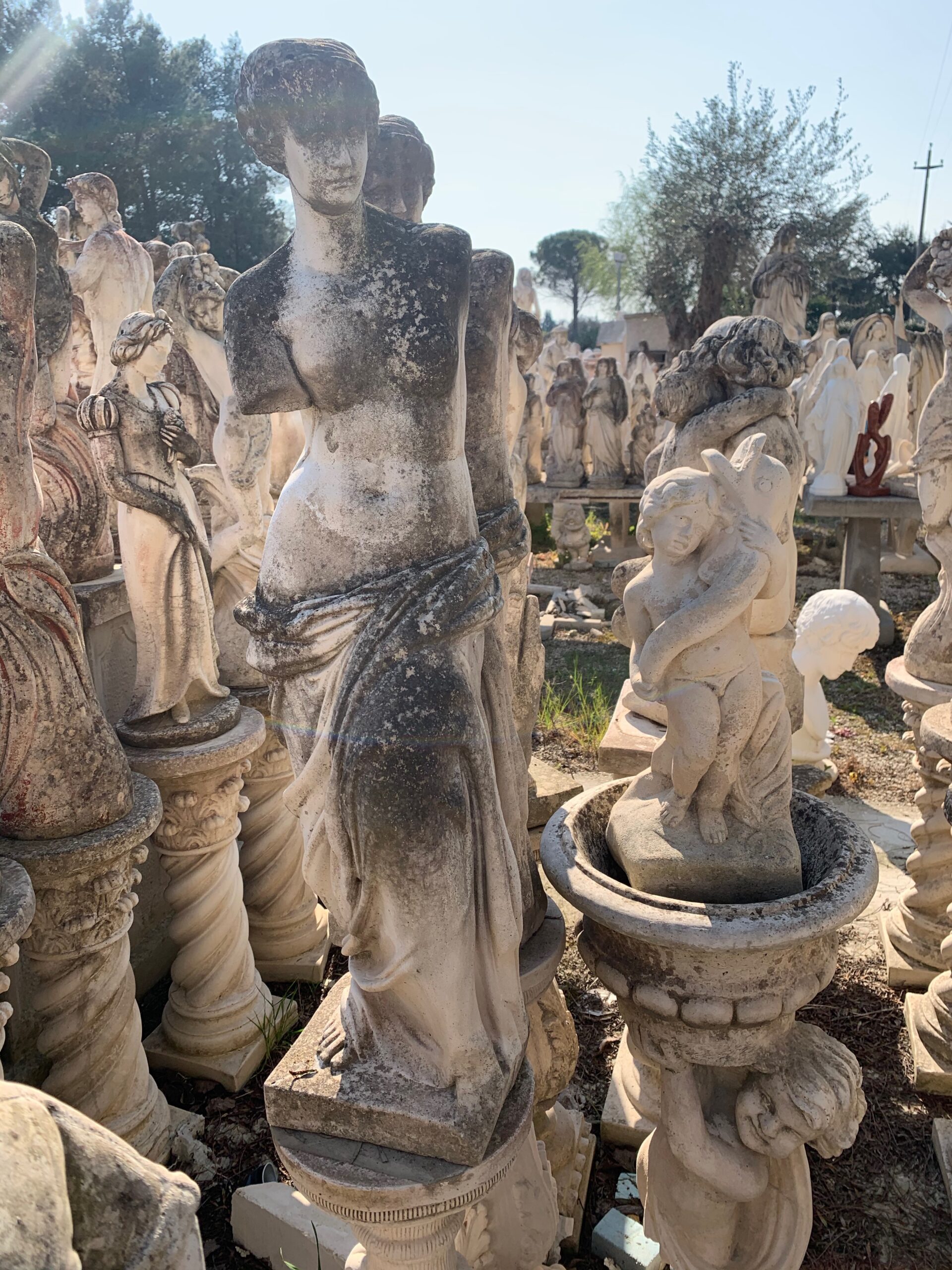 Venere di Milo (Antichizzata) IMG 6896