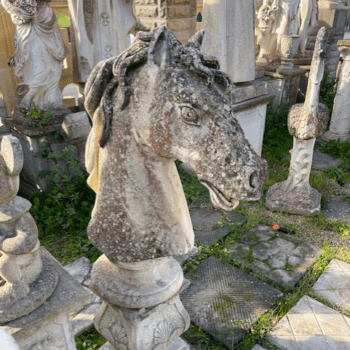 TESTA CAVALLO GIGANTE