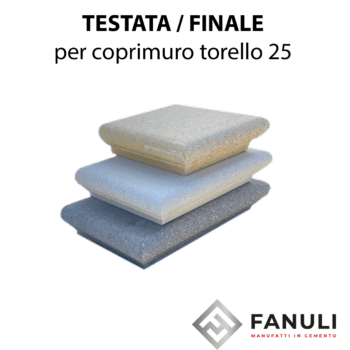 TESTATA TORELLO 25