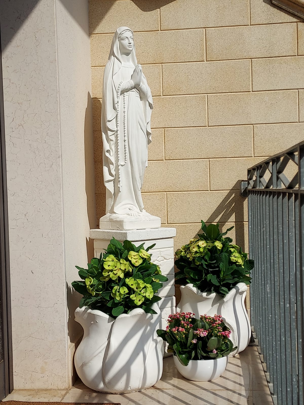 Vaso Rosa lourdes 100