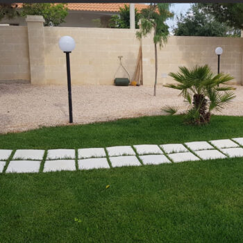 1. immagine nel pratojpg