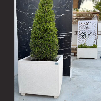 vaso quadro bucciardato