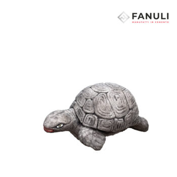 tartaruga piccola bianc...