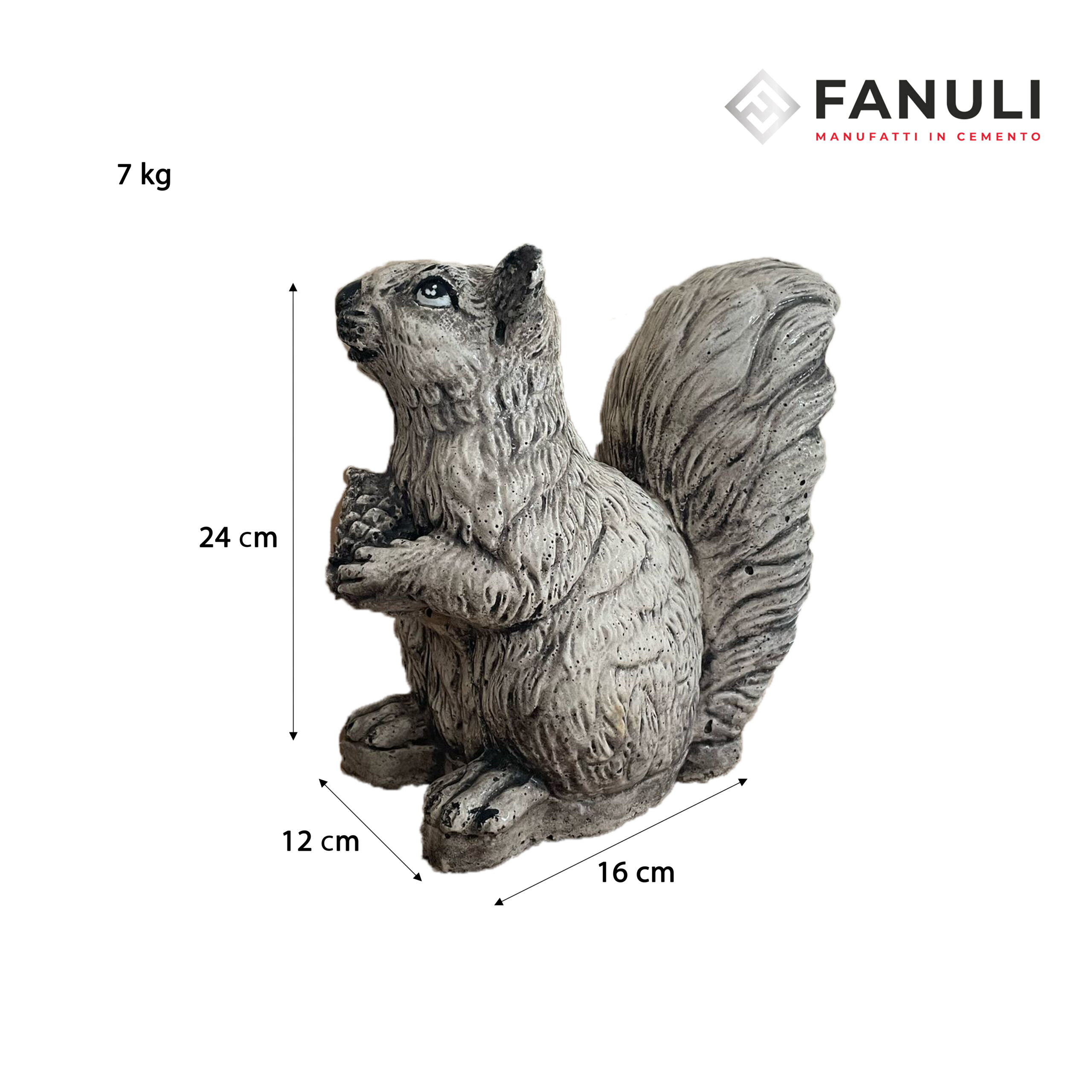 Scoiattolo scoiattolo misure