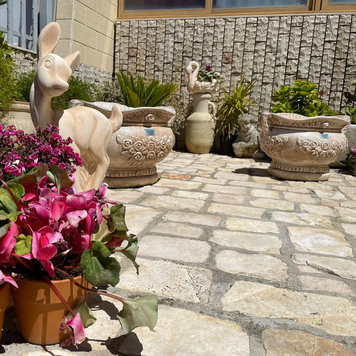 Vaso "Corvox" 6.corvox